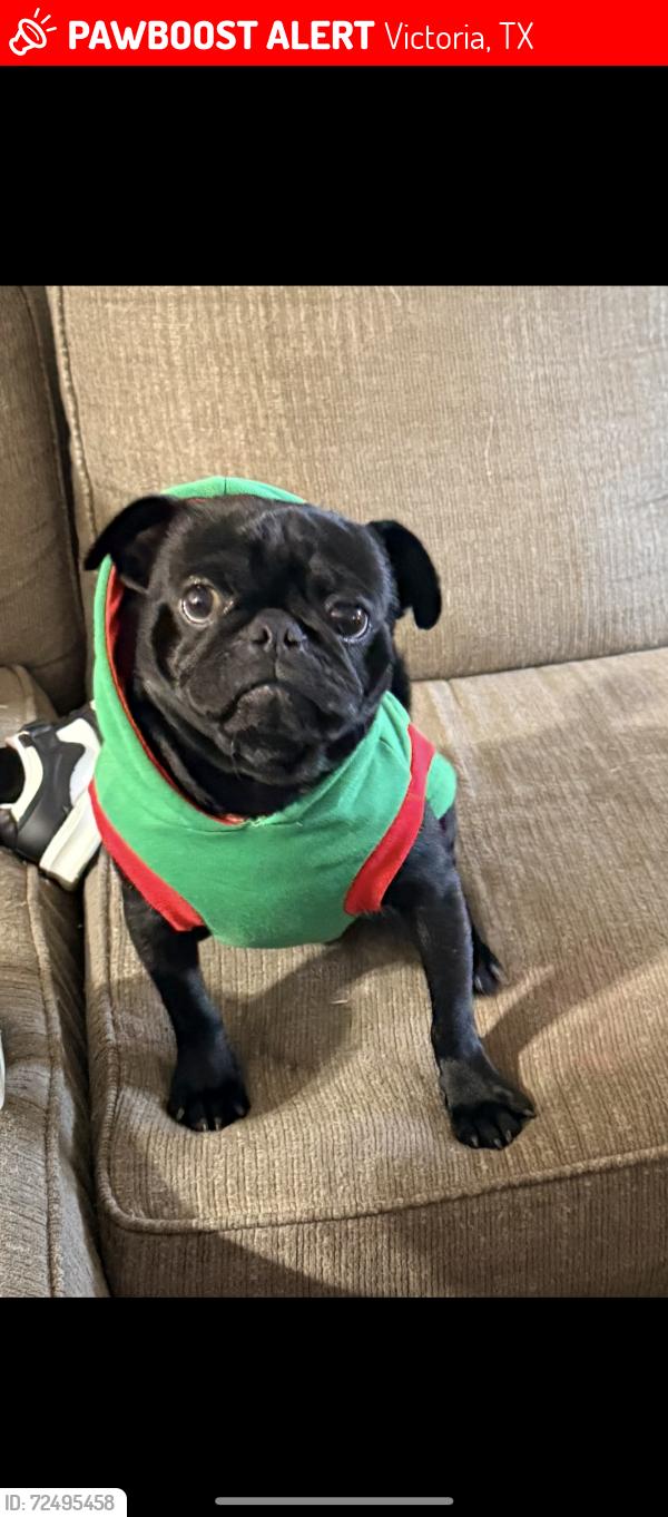 Lost Male Dog last seen Lova Dr, Victoria, TX 77901