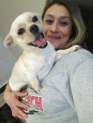 Lost Female Dog last seen Duran park Lubbock tx , Lubbock, TX 79407