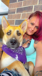 Lost Female Dog last seen I'm not sure , Allen, TX 75013