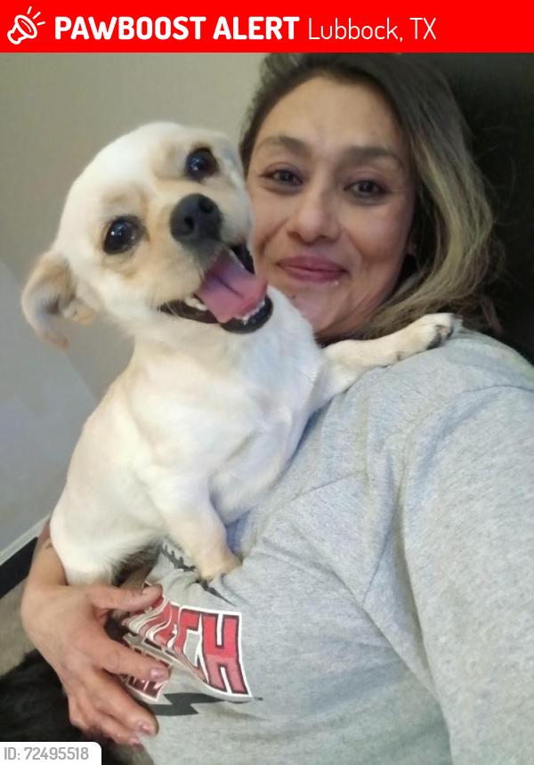 Lost Female Dog last seen Best buy and Duran park and boys n girls club, Lubbock, TX 79407
