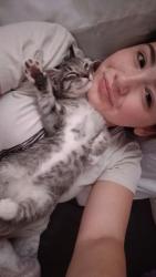 Lost Male Cat last seen N old lake Wilson Rd. And Sinclair Rd., Four Corners, FL 34747