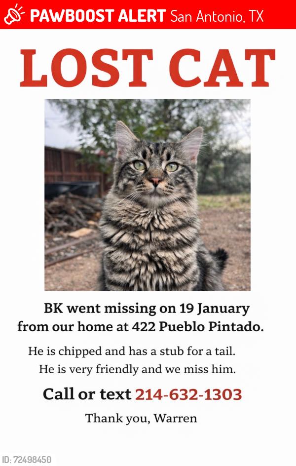 Lost Male Cat last seen Pueblo Pintado/ Riadosa Downs, San Antonio, TX 78023