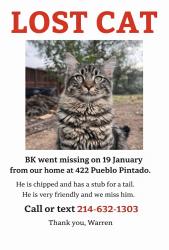 Lost Male Cat last seen Pueblo Pintado/ Riadosa Downs, San Antonio, TX 78023