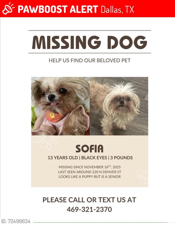 Lost Female Dog last seen Denver street , Dallas, TX 75203