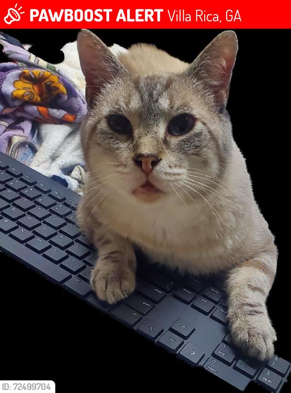 Lost Male Cat last seen Pine lane, Villa Rica, GA 30180