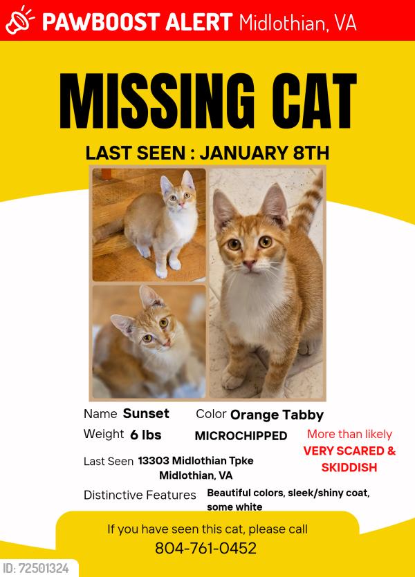 Lost Male Cat last seen Near Midlothian Turnpike , Midlothian, VA 23113