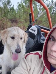 Lost Male Dog last seen Fairview Road(Panama City Cutoff), Jackson County, FL 32448