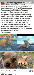 Lost Female Dog last seen West commerce allsup, San Antonio, TX 78237