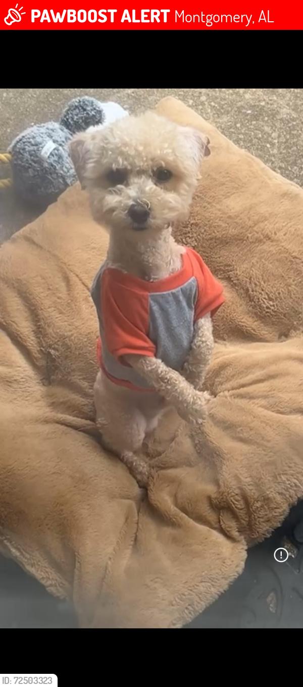 Lost Male Dog last seen Oak shadow lane , Montgomery, AL 36116