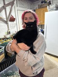 Lost Male Cat last seen Near th, Graham, WA 98338