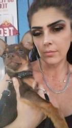 Lost Male Dog last seen Edison hwy- Mt Vernon Ave California ave , Bakersfield, CA 93307
