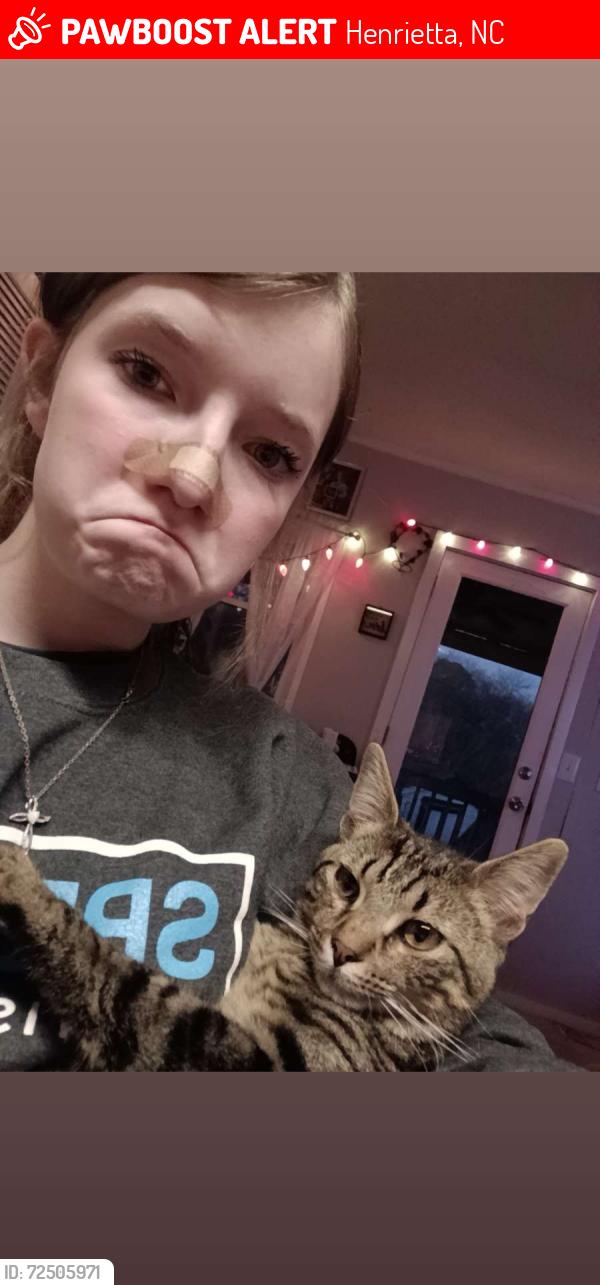 Lost Male Cat last seen Henrietta NC , Henrietta, NC 28024