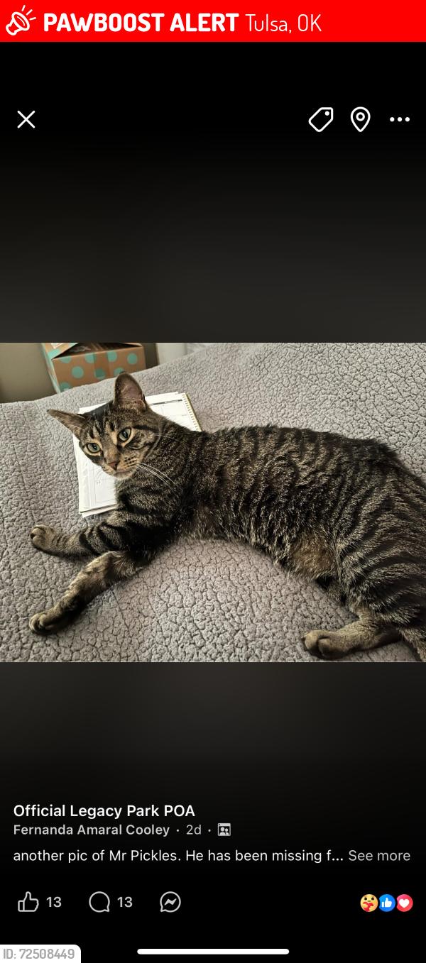 Lost Male Cat last seen 101st and Memorial, Tulsa, OK 74133