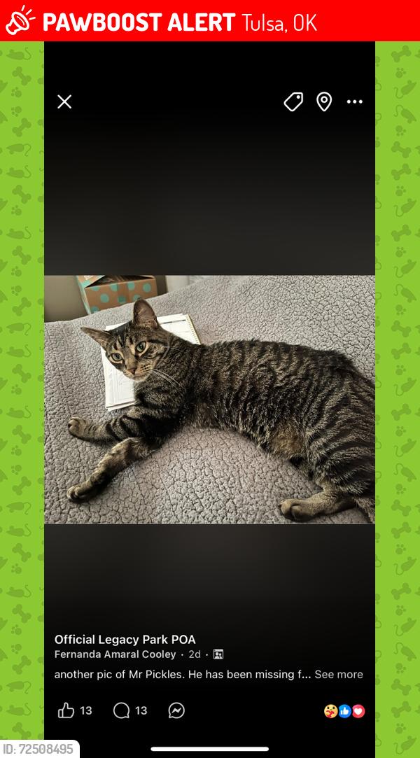 Lost Male Cat last seen 101st and Memorial , Tulsa, OK 74137