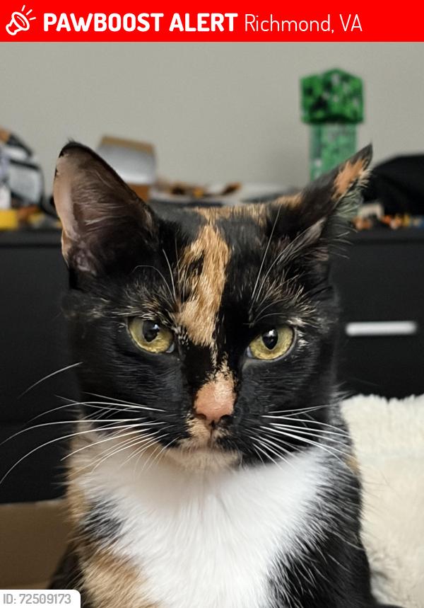 Lost Female Cat last seen in the boulder springs apmt complex, Richmond, VA 23225