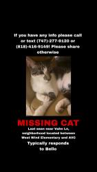 Lost Male Cat last seen Vahn Lane lancaster, Lancaster, CA 93536