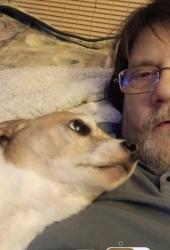 Lost Male Dog last seen Norman St and north main., Akron, OH 44310