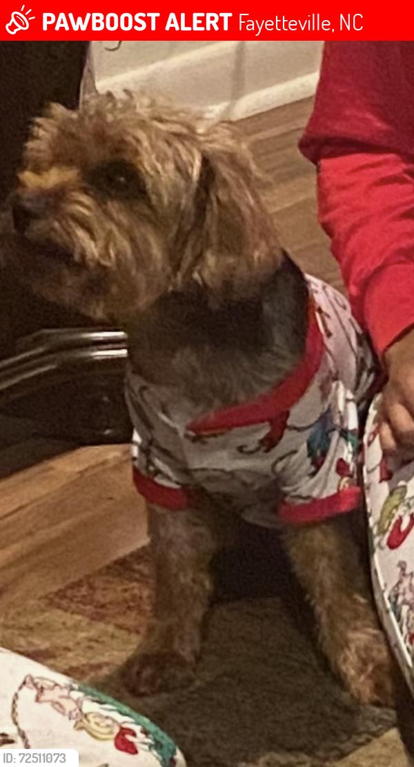 Lost Male Dog last seen Evergreen ests, Fayetteville, NC 28304
