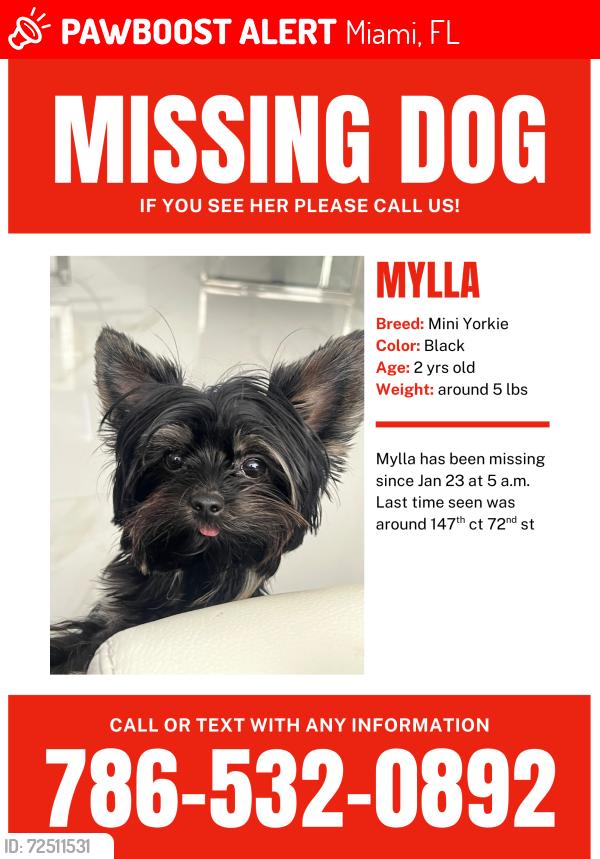 Lost Female Dog last seen Near sw 147th ct, Miami, FL 33193