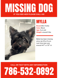 Lost Female Dog last seen Near sw 147th ct, Miami, FL 33193