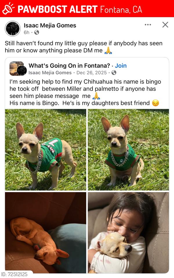 Lost Male Dog last seen Near miller ave fontana,ca 92336, Fontana, CA 92336