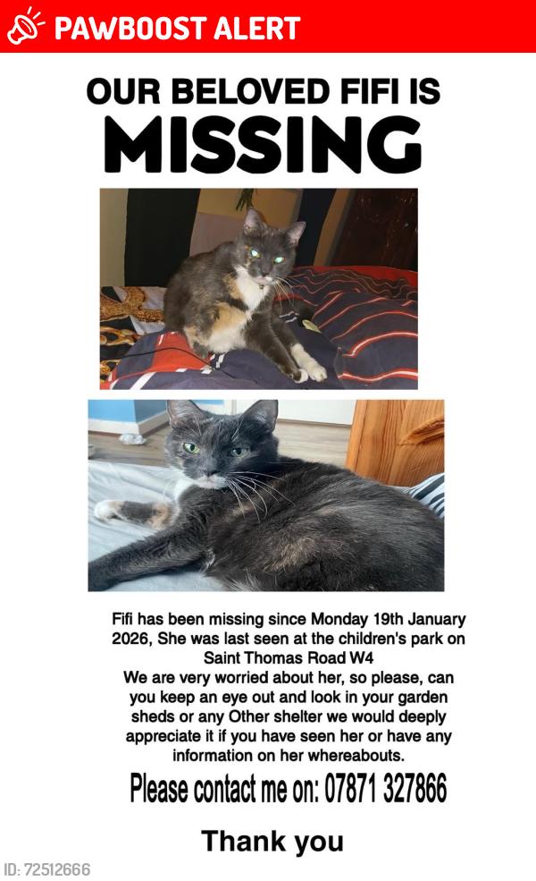 Lost Female Cat last seen Chiswick, Chiswick, England W4 3LQ