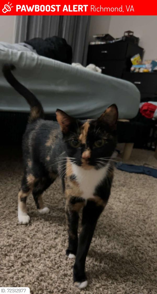 Lost Female Cat last seen Boulders Parkway , Richmond, VA 23225