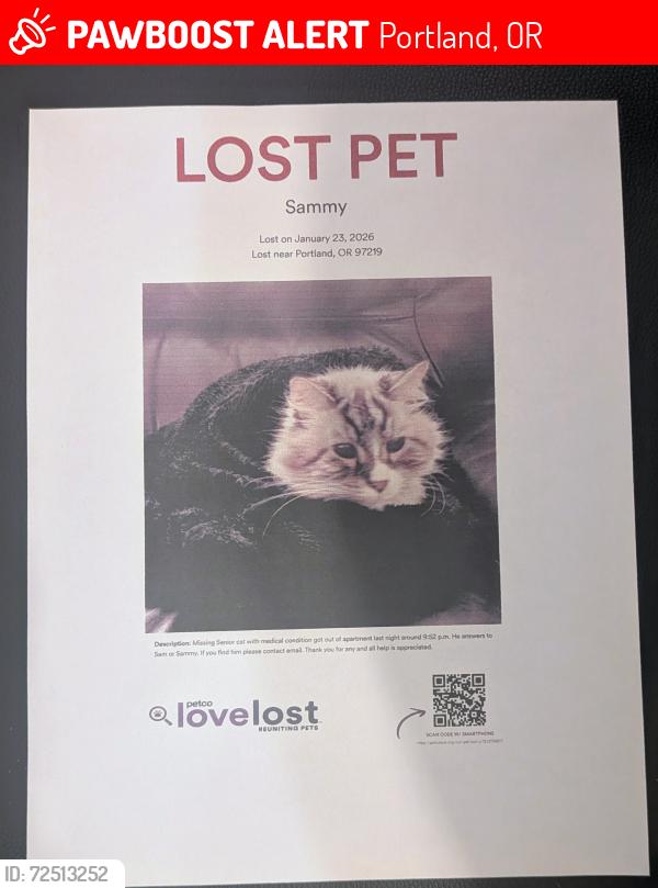 Lost Male Cat last seen Hume St. , Portland, OR 97219