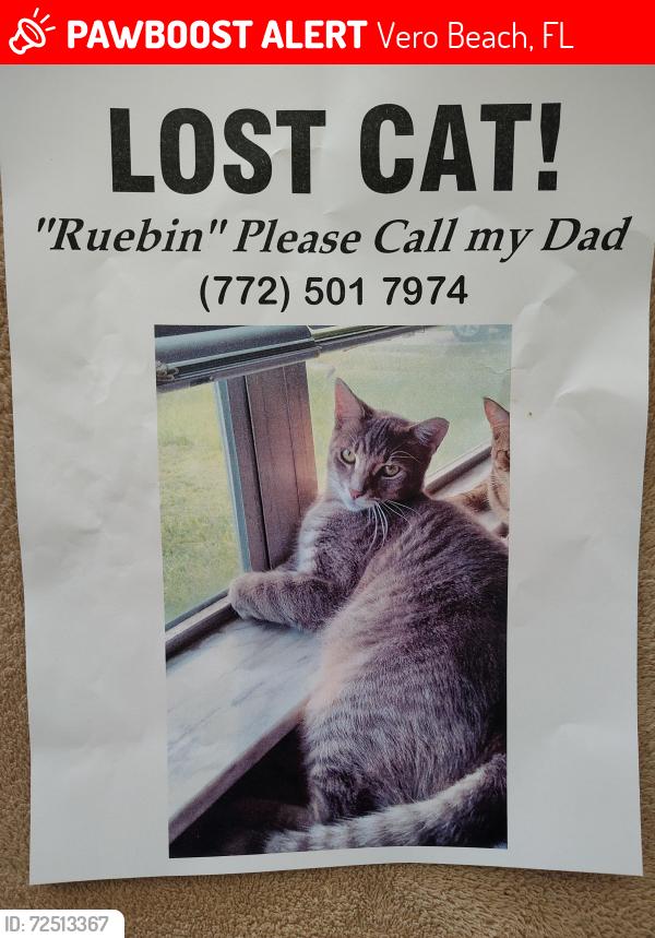 Lost Male Cat last seen 1st Street and 35th ave, Vero Beach, FL 32968