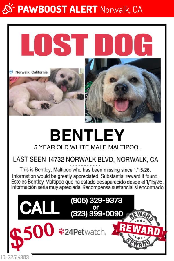 Lost Male Dog last seen Norwalk and mapledale, Norwalk, CA 90650