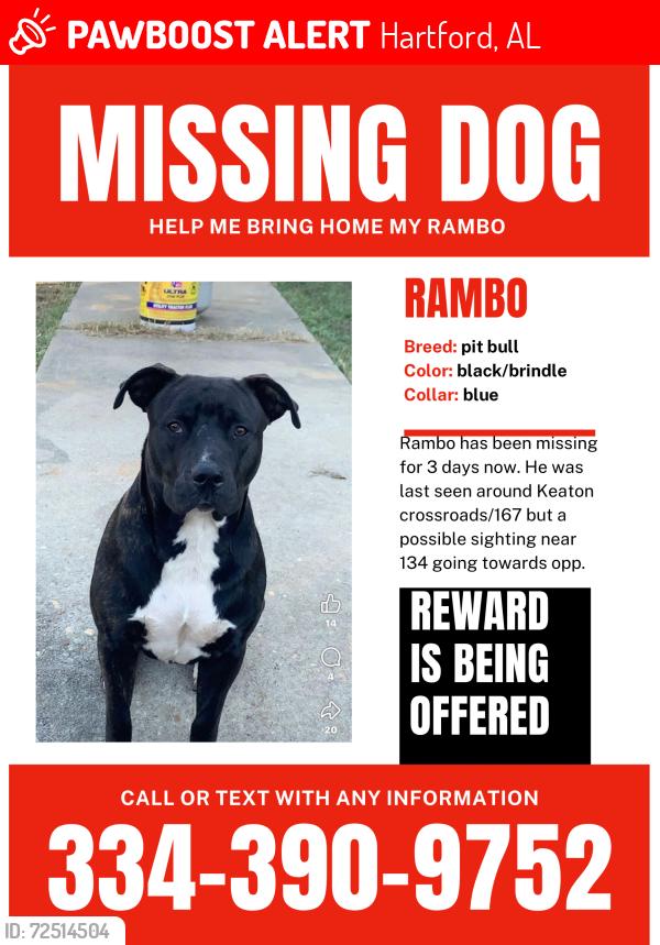 Lost Male Dog last seen Keatons crossroads/167 going towards Hartford , Enterprise, AL 36330