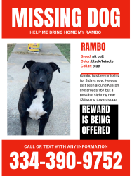 Lost Male Dog last seen Keatons crossroads/167 going towards Hartford , Enterprise, AL 36330