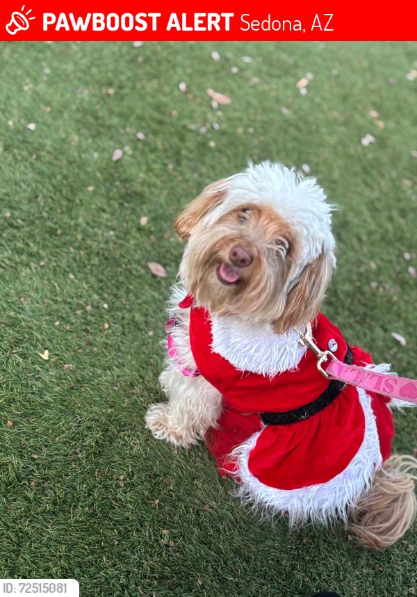 Lost Female Dog last seen Near N State Rte 89A Sedona, AZ 86336 Estados Unidos, Sedona, AZ 86336