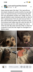 Lost Male Dog last seen There a store at the end of colfax and joy rd, Detroit, MI 48204