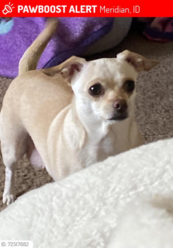 Lost Female Dog last seen Near w autumn park ln, Meridian, ID 83642