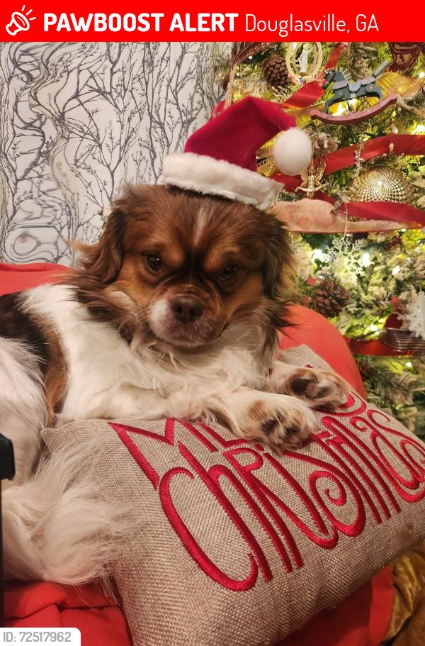 Lost Male Dog last seen Pirkle road and huey , Douglasville, GA 30134