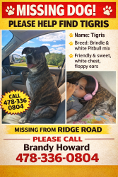 Lost Female Dog last seen Ridge rd , Macon, GA 31217