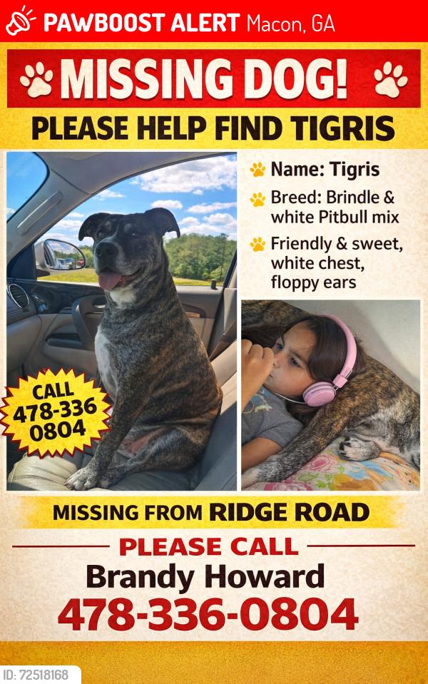 Lost Female Dog last seen Ridge rd , Macon, GA 31217