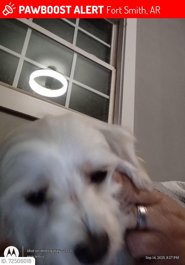 Lost Male Dog last seen Nelson Hall s, Fort Smith, AR 72904