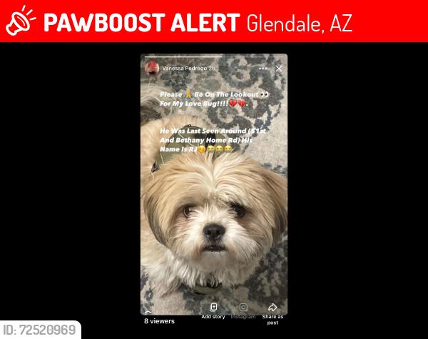 Lost Male Dog last seen 51st ave and Bethany  Road, Glendale, AZ 85304