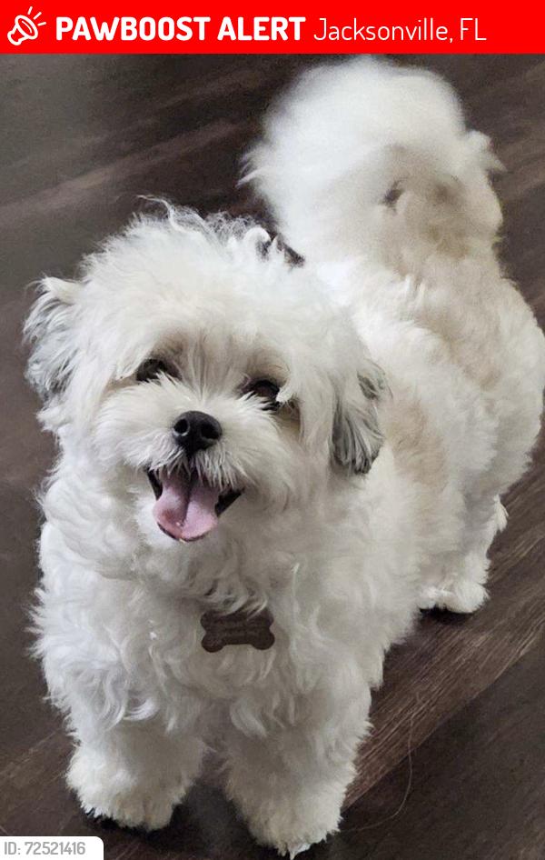 Lost Female Dog last seen Near Broadway ave, Jacksonville, FL 32254