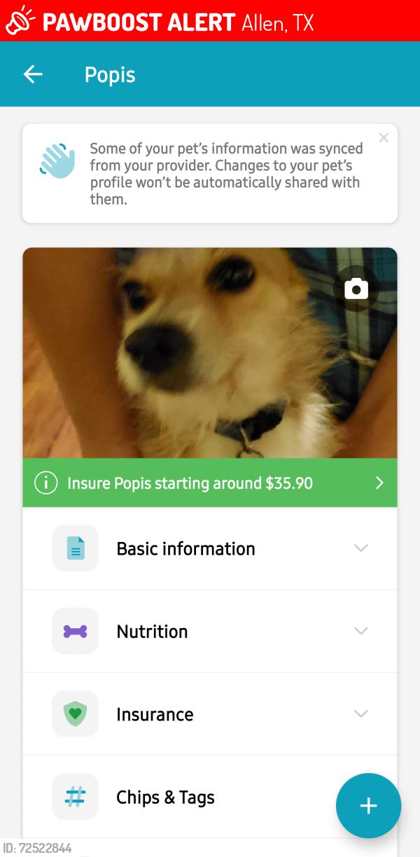 Lost Male Dog last seen Near Central Expy.N Allen TEXAS &Ola ln, Allen, TX 75013