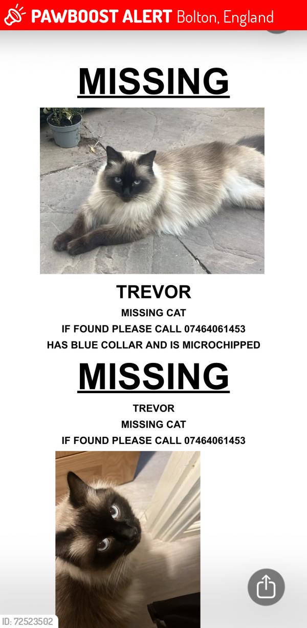 Lost Male Cat last seen BL7 , Bolton, England 
