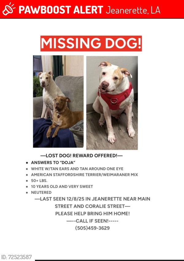 Lost Male Dog last seen Coralie and Main, Jeanerette, LA 70544
