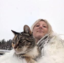 Lost Female Cat last seen Irish creek road , Mohrsville, PA 19541