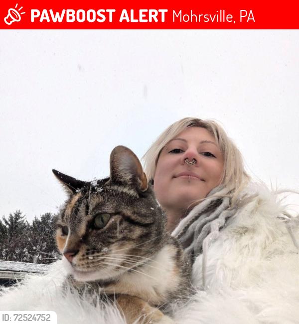 Lost Female Cat last seen Irish creek road , Mohrsville, PA 19541