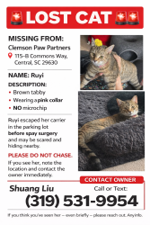 Lost Female Cat last seen 105b commons way, central , Central, SC 29630