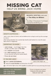 Lost Male Cat last seen Bitters road between west Ave and blanco (hill country village), San Antonio, TX 78216