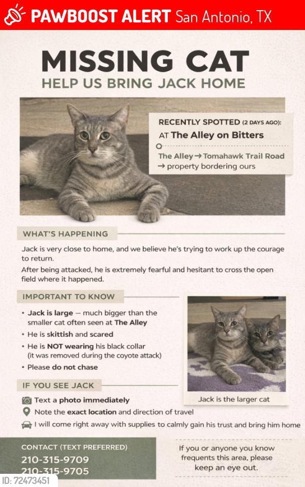 Lost Male Cat last seen Bitters road between west Ave and blanco (hill country village), San Antonio, TX 78216