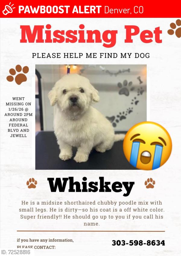 Lost Male Dog last seen Jewell & federal blvd, Denver, CO 80219